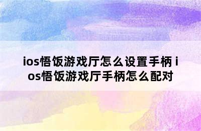 ios悟饭游戏厅怎么设置手柄 ios悟饭游戏厅手柄怎么配对